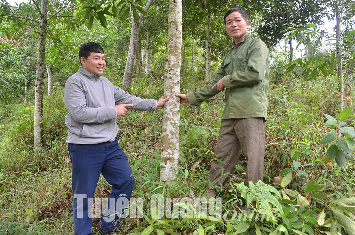 Sức bật ở Côn Lôn