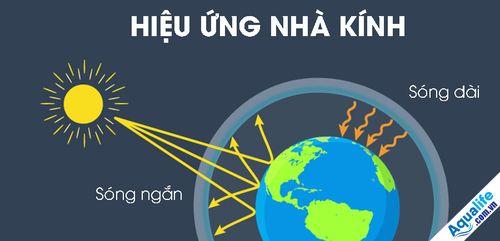 Điểm danh 10 biện pháp khắc phục hiệu ứng nhà kính
