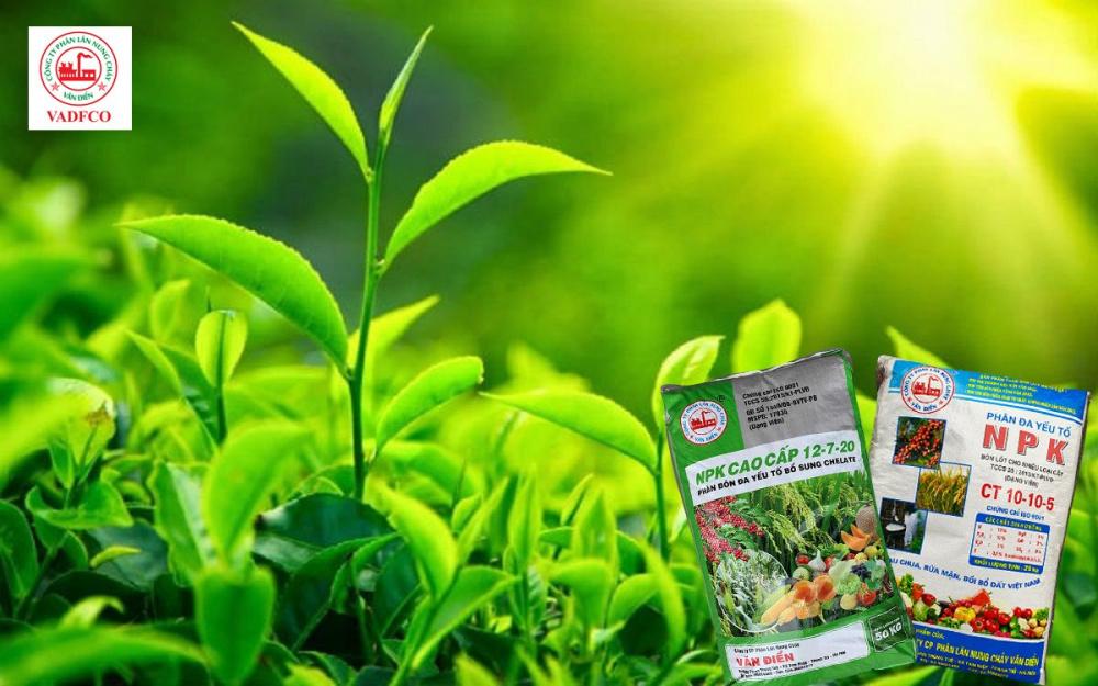 Phân bón Văn Điển - Hướng đi mới trong canh tác nông nghiệp bền vững