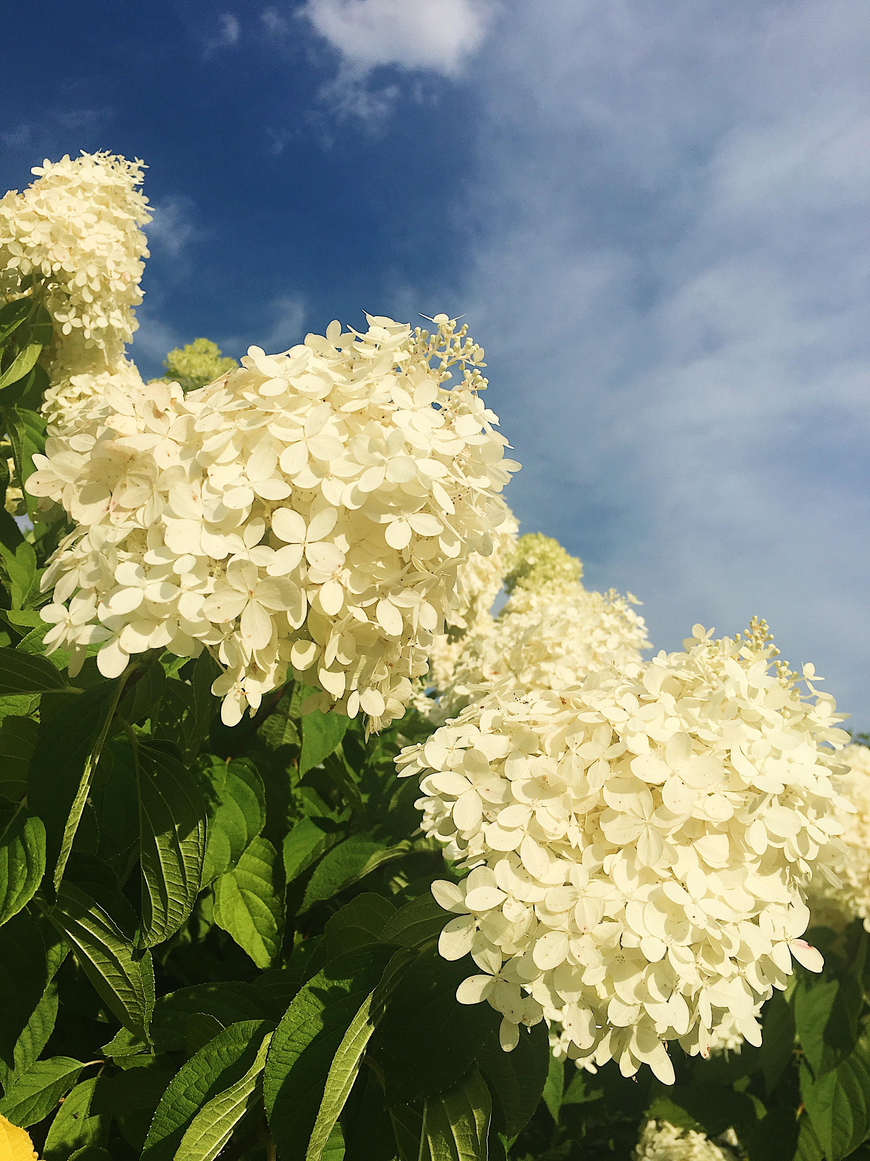 Ý tưởng lớn – Những bài dịch trên blog #1