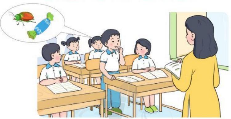 Tuần 13. Bài văn về trường học - Website của Thân Thị Hoàng Oanh