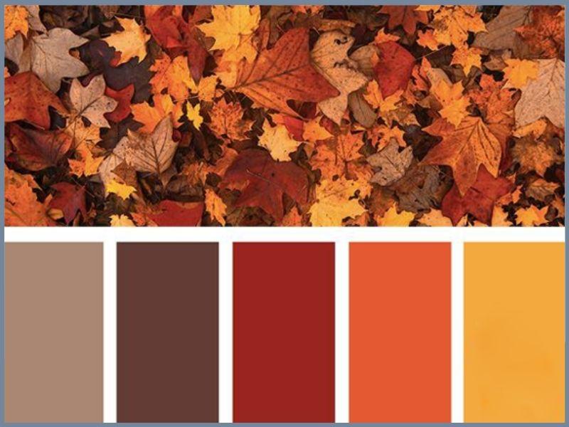 Nữ da ngăm đen nên mặc áo phông màu gì để nổi bật, tôn da?