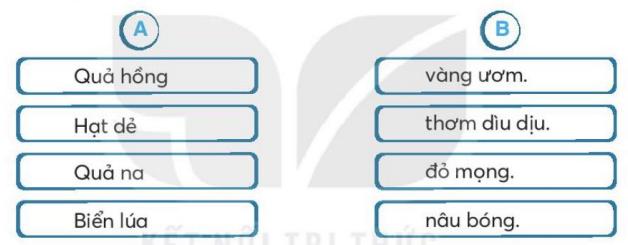 Giải Bài 6: Mùa vàng trang 14, 15, 16 Vở bài tập Tiếng Việt lớp 2 tập 2 - Kết nối tri thức