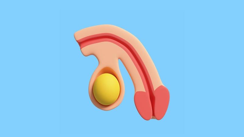 Hình ảnh bao quy đầu bình thường ở người lớn thế nào? Cách vệ sinh đúng cách