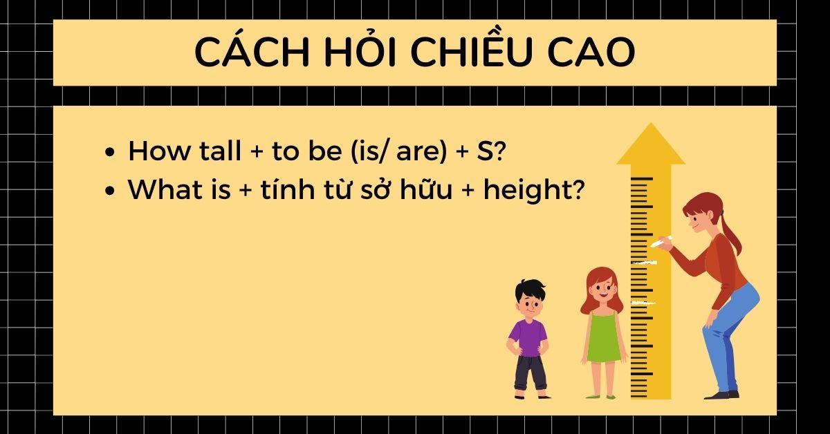 Cách hỏi chiều cao/ cân nặng trong tiếng Anh: Các mẫu câu phổ biến nhất