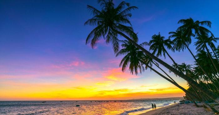 Tả cảnh biển (Sơ đồ tư duy)                               2 Dàn ý & 70 bài văn tả cảnh lớp 5 hay nhất