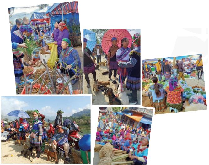 Tiếng Anh 8 Unit 8 Getting Started