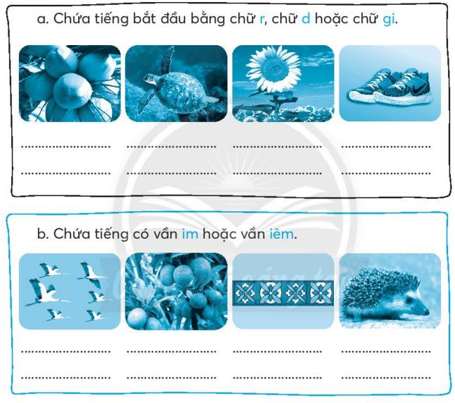 Giải Bài 2: Rừng ngập mặn Cà Mau trang 40, 41, 42, 43, 44 Vở bài tập Tiếng Việt lớp 2 tập 2 - Chân trời sáng tạo