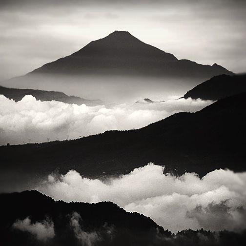 Tương phản trong bố cục