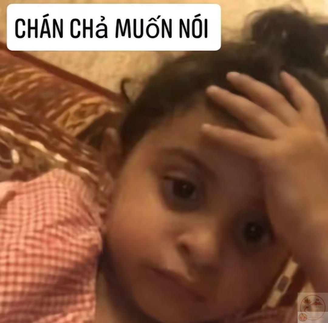 Meme chán: 195+ ảnh “chán chả buồn nói”, chán đời cực thấm