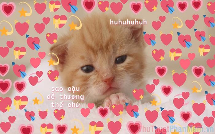 Tổng hợp những meme tình yêu đáng yêu, ngọt ngào và hài hước dành cho các cặp đôi