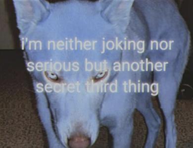 Technology Series: Kyle Parry