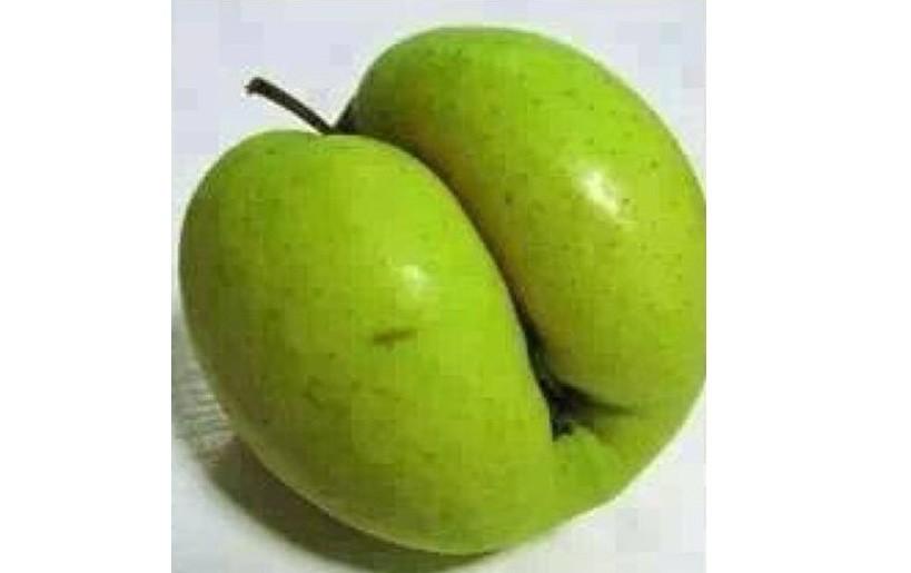 Quả khu mấn là gì? Đặc sản nổi danh của tỉnh Nghệ An và Hà Tĩnh