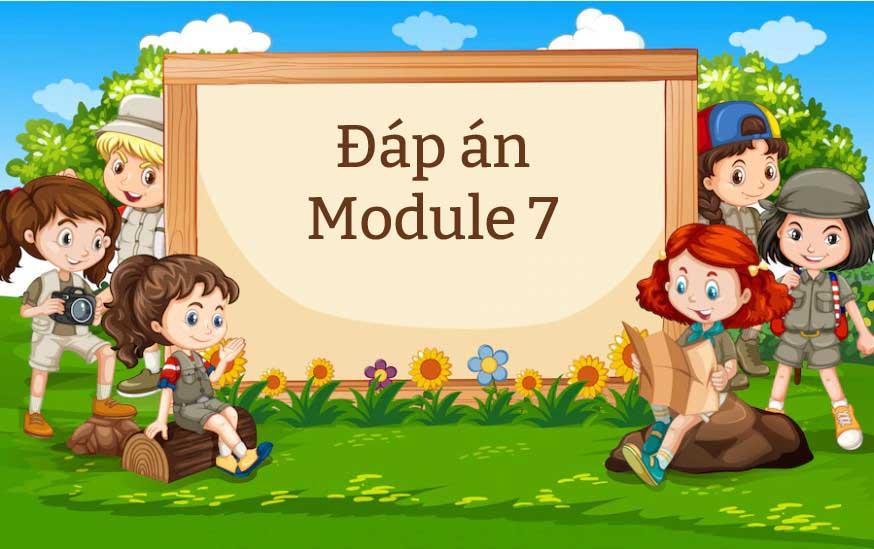 Đáp án Module 7 chi tiết năm 2026 (Mới cập nhật)